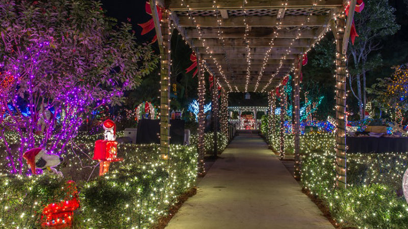 Hoffman’s Chocolates’ Winter Wonderland Lights Up South Florida